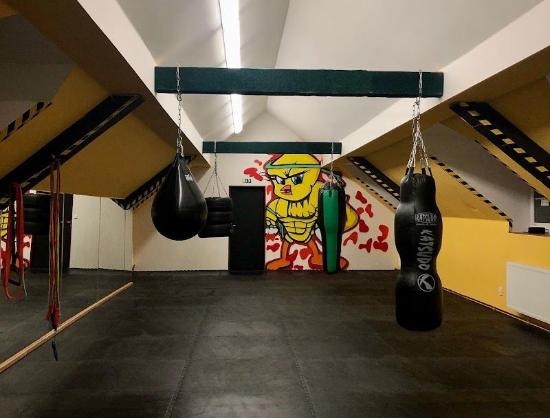EGO GYM s.r.o. foto 1