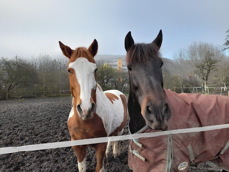 Pony Klub Praha foto 1