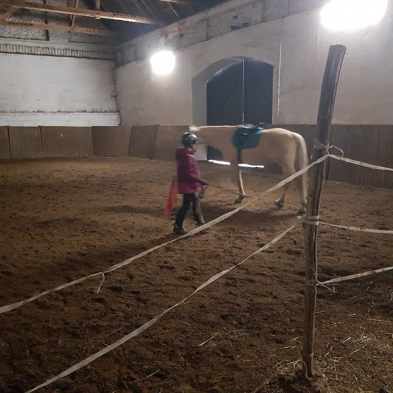 Pony Klub Praha foto 2