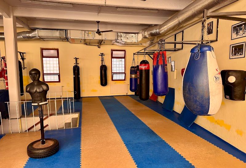 Sk Boxing Praha foto 1