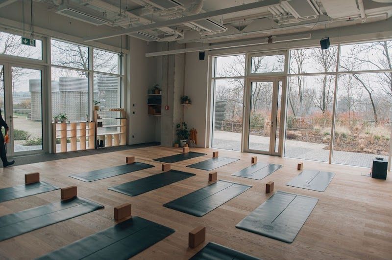 Prague Yoga Collective Karlín foto 2