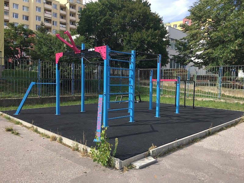 RVL13 PARK - Street Workout outdoor park foto 1