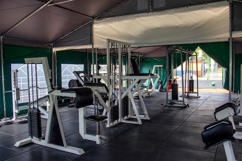Hulk Workout foto 2