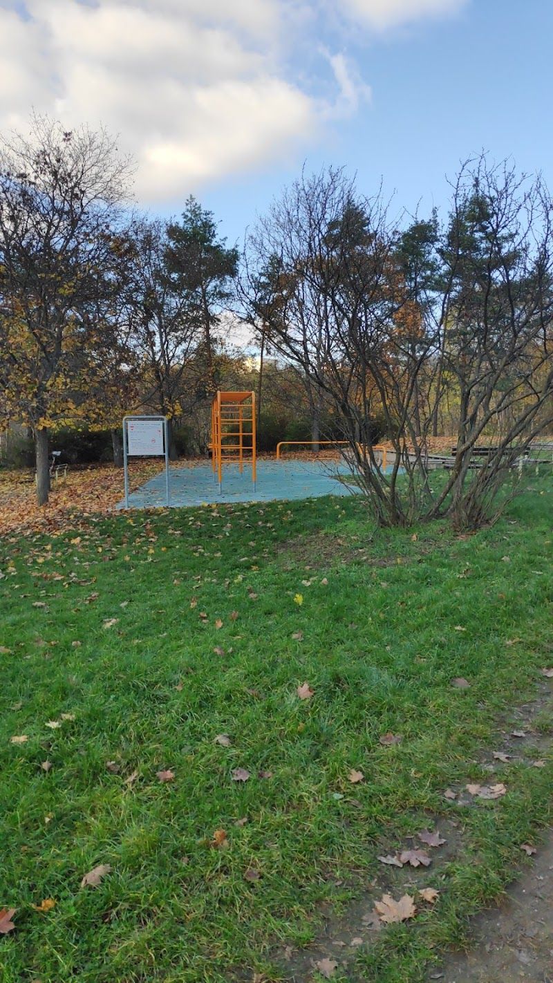 Workout Field foto 1