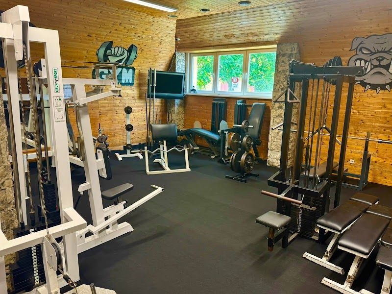 MK Fitness Duchcov foto 1