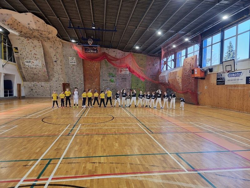 TJ Lokomotiva Břeclav foto 2