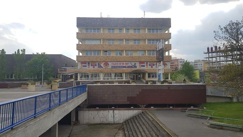 FITKO Hanky Kynychové foto 2