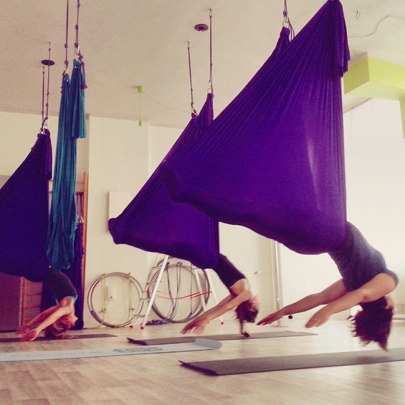 Sky Gym foto 2