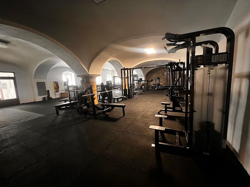 Vfit gym foto 2