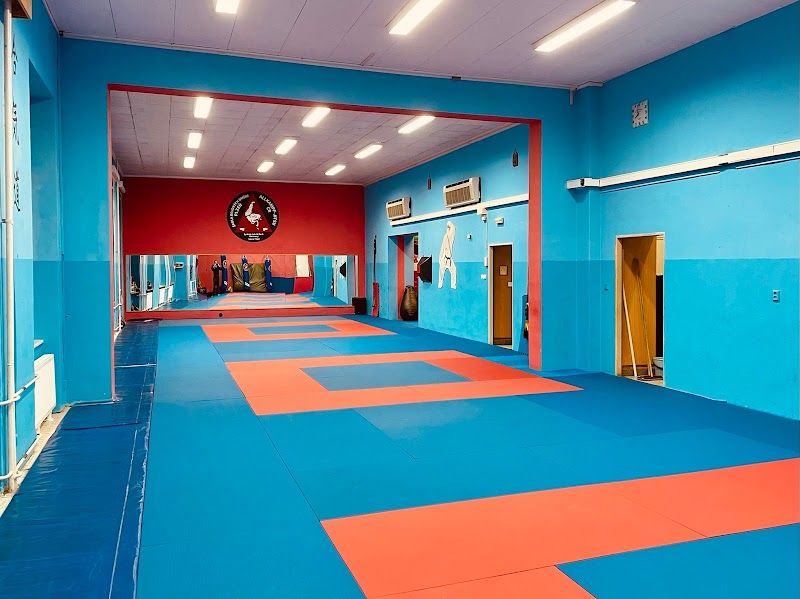 Škola bojových umění Plzeň foto 2