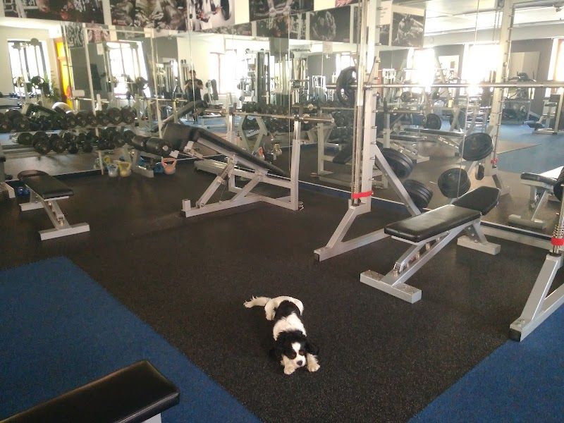 Bodyfit GYM foto 1