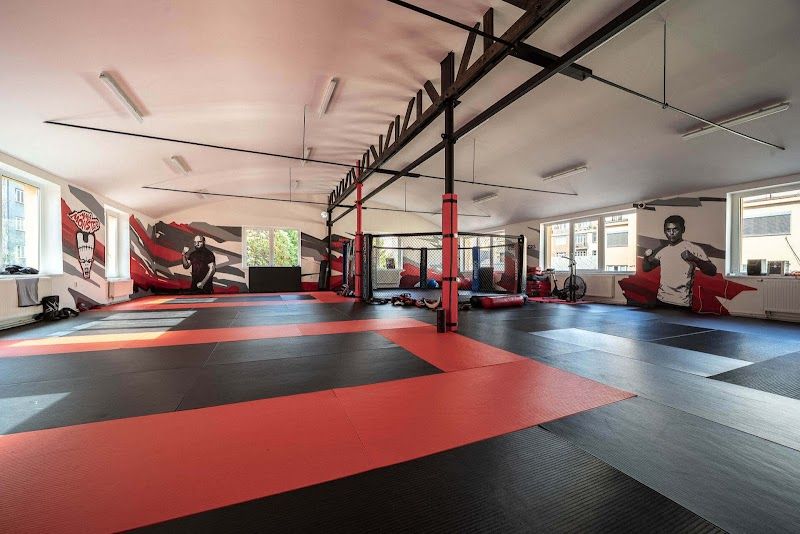 MMA Monster Gym foto 1