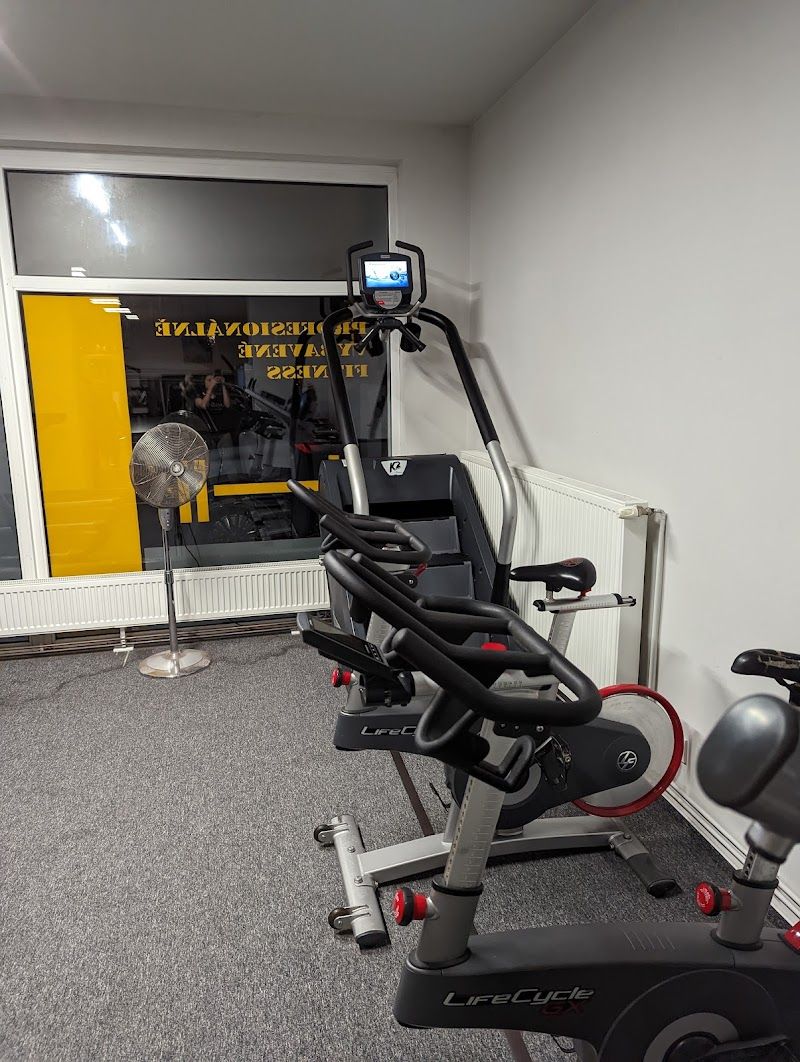Bastard´s Gym foto 2