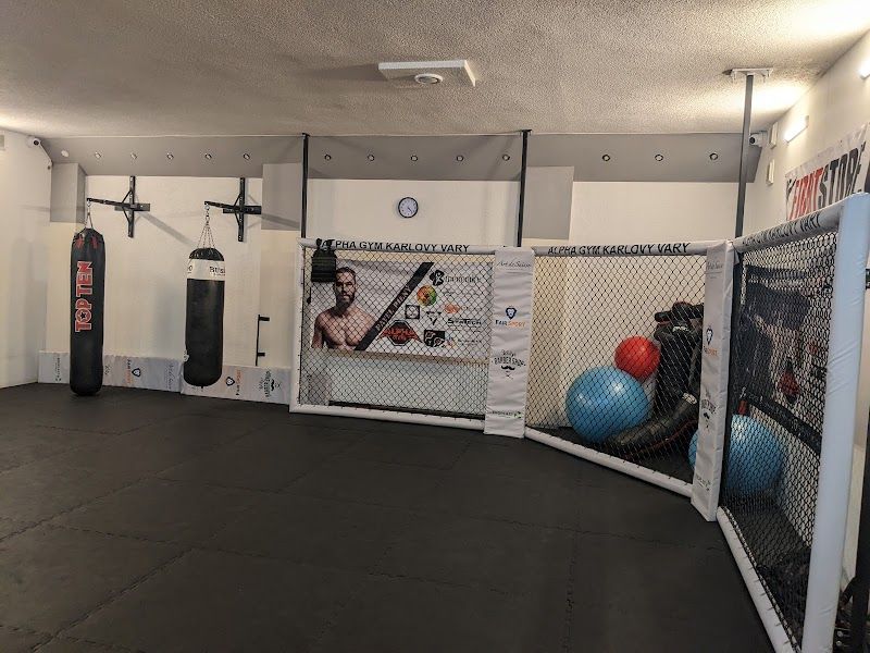 Alpha Gym foto 2