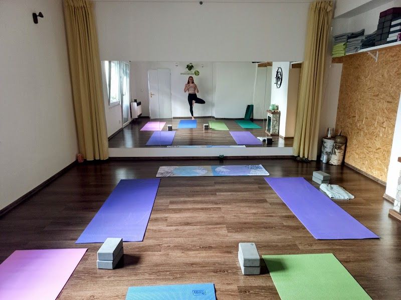 Studio Rovnováha foto 2