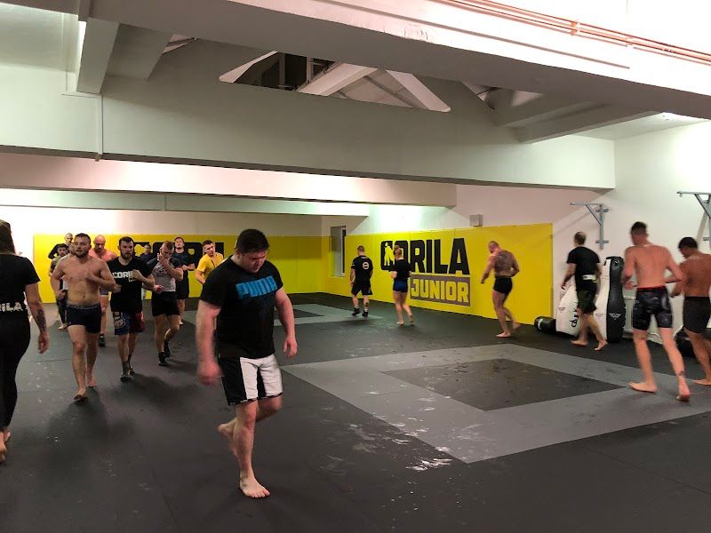 GORILLA MMA foto 1