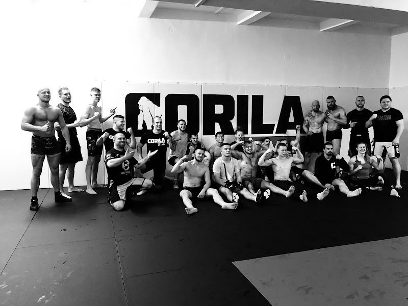 GORILLA MMA foto 2
