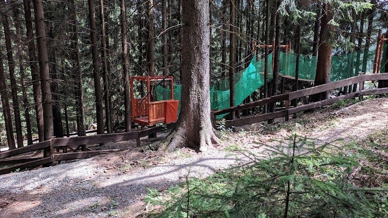 Kardiostezka doktora Elingera foto 1