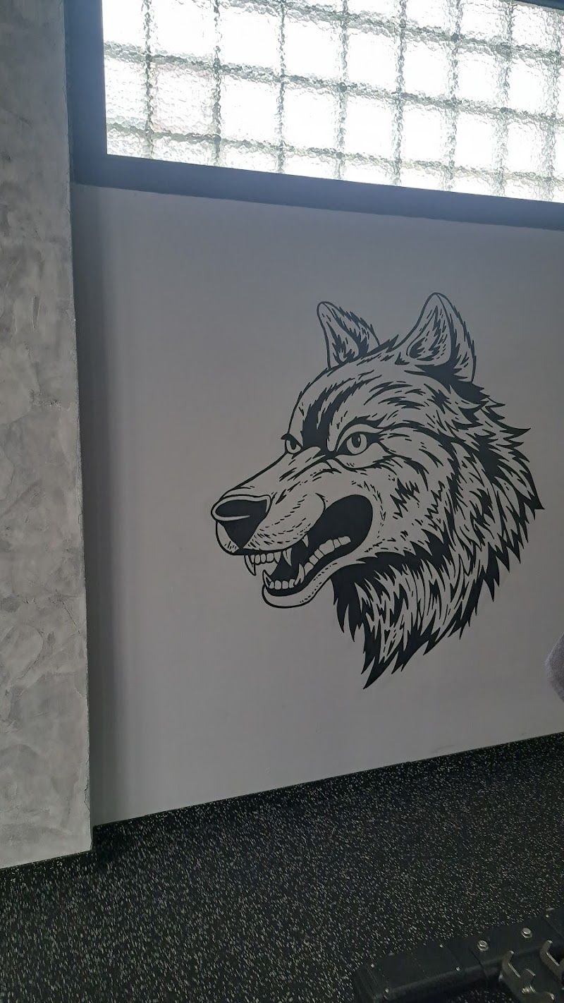 Lobo gym foto 2