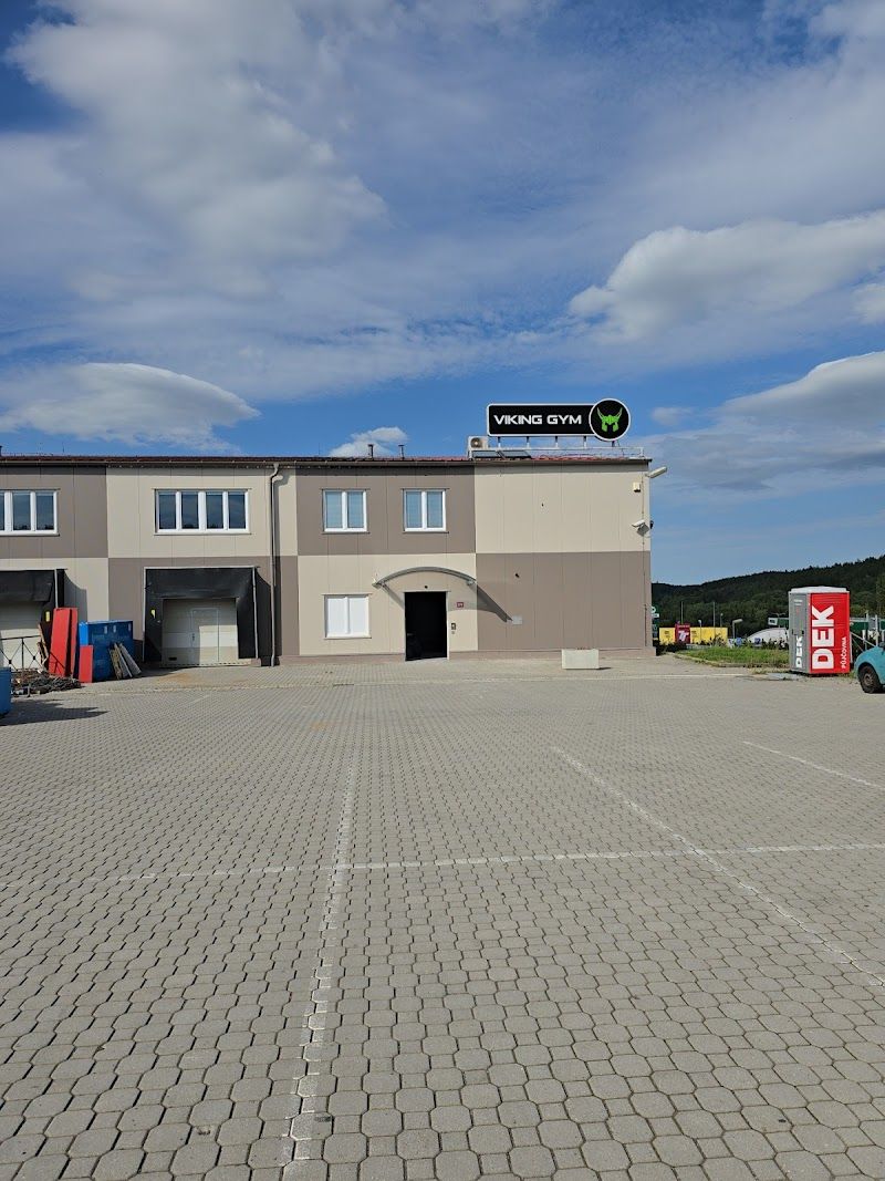 Viking gym foto 1