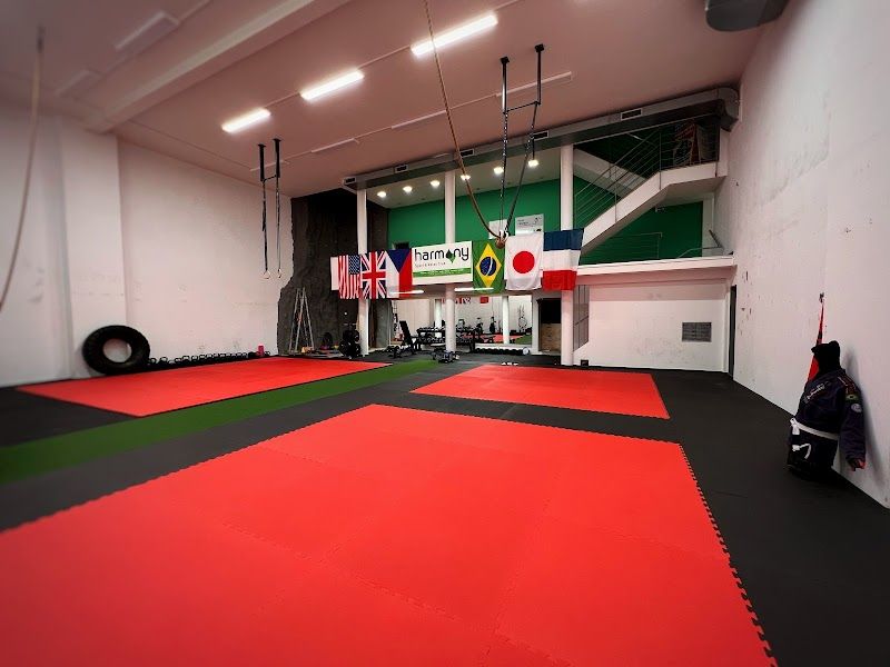 Harmony Sport & Relax Club Písek foto 2