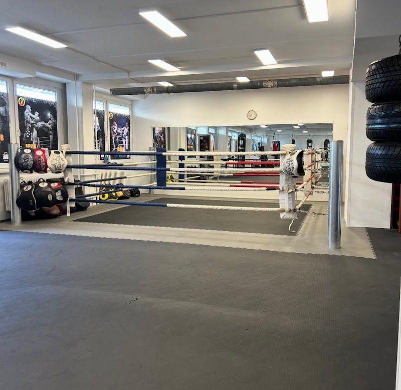 Aplik Muay Thai Gym foto 1