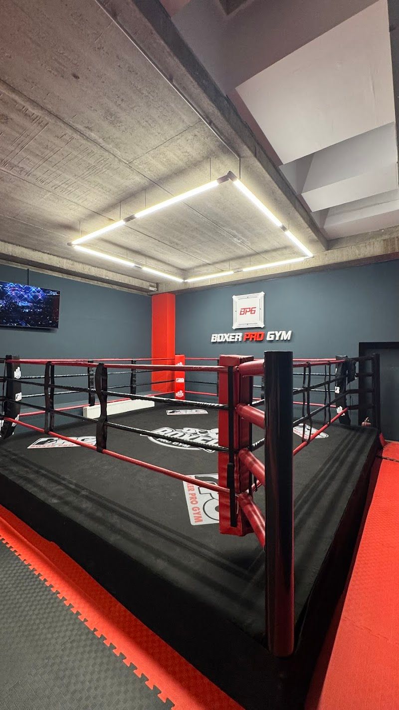 BOXER PRO GYM | Moderní vybavený klub bojových sportů a boxu foto 1