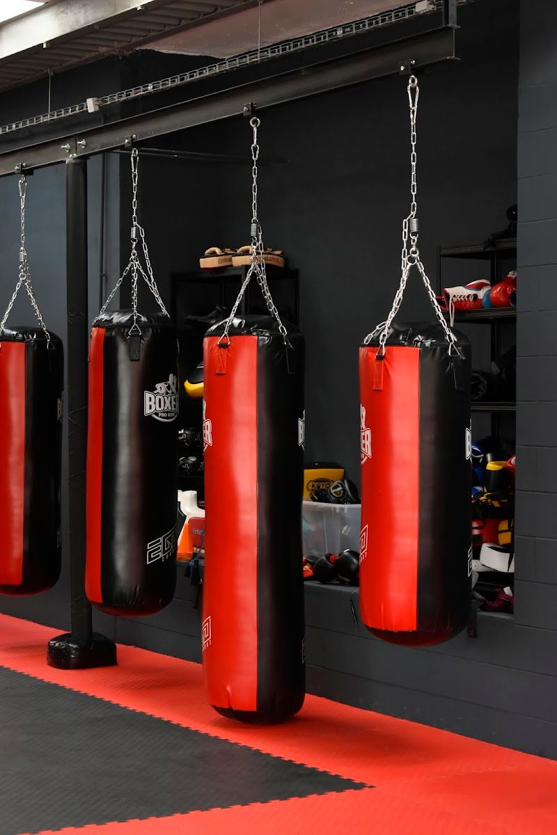BOXER PRO GYM | Moderní vybavený klub bojových sportů a boxu foto 2